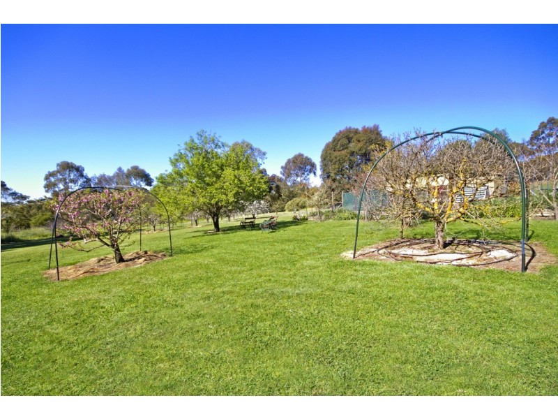 685 Seppeltsfield Road, Seppeltsfield SA 5355