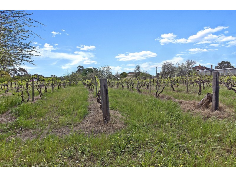 37 Victoria Terrace, Williamstown SA 5351