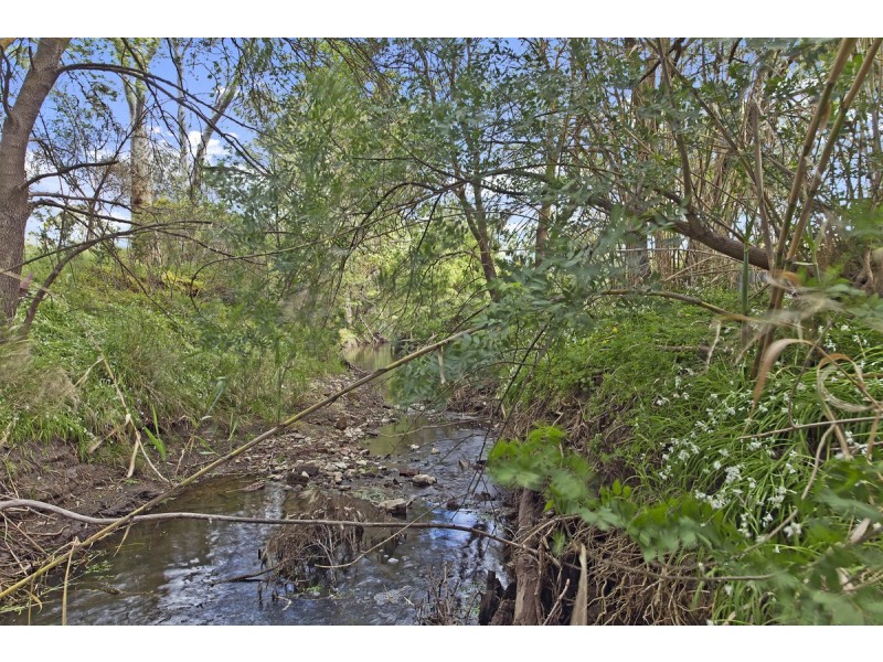 37 Victoria Terrace, Williamstown SA 5351