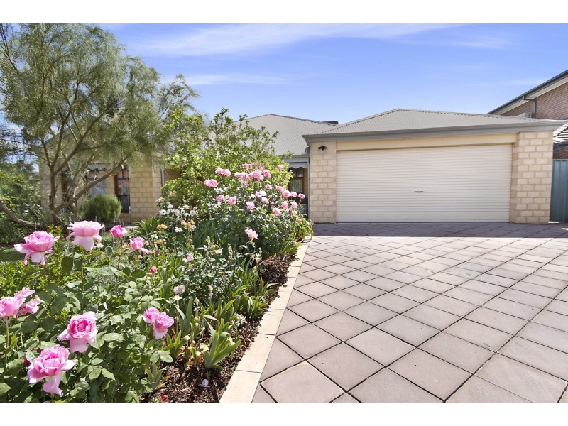 16 Stuart Street, Nuriootpa SA 5355