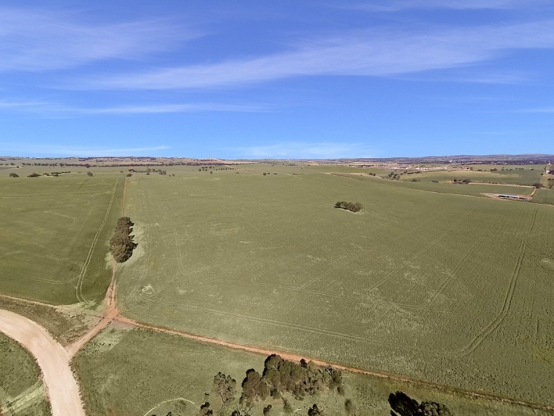 Kilarney St Johns, Kapunda SA 5373