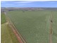 Kilarney St Johns, Kapunda SA 5373