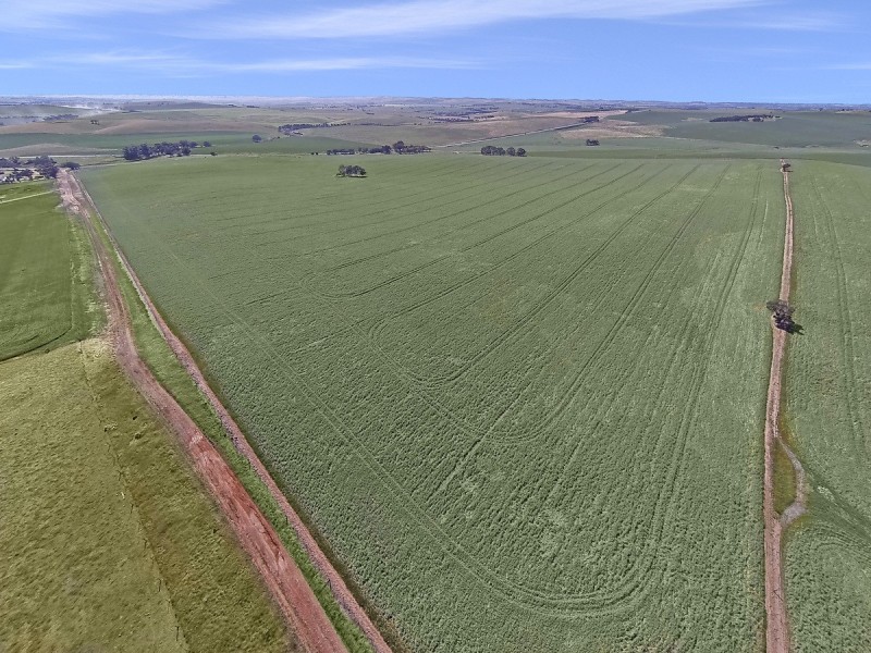 Kilarney St Johns, Kapunda SA 5373