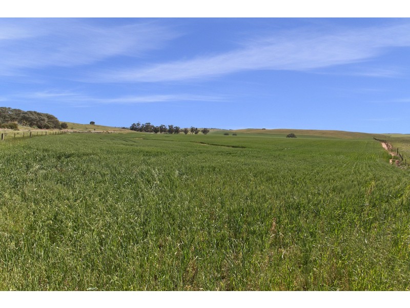 Kilarney St Johns, Kapunda SA 5373