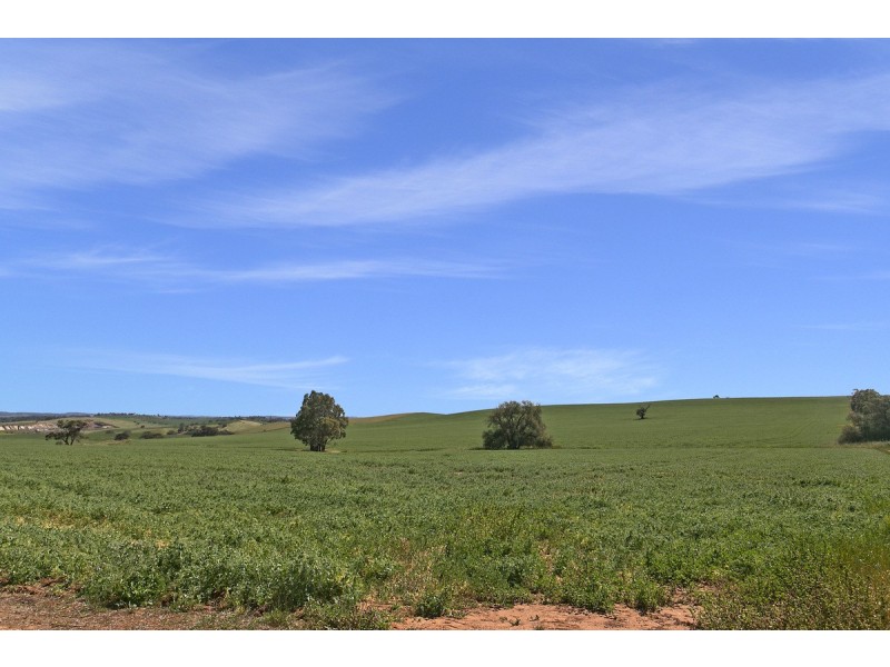 Kilarney St Johns, Kapunda SA 5373