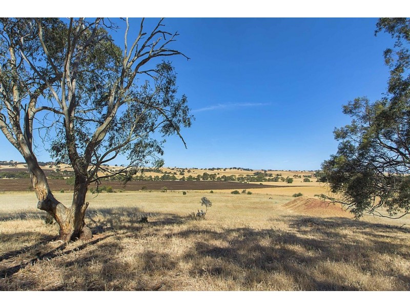 Lot 8 Mount Allen Road, Kapunda SA 5373