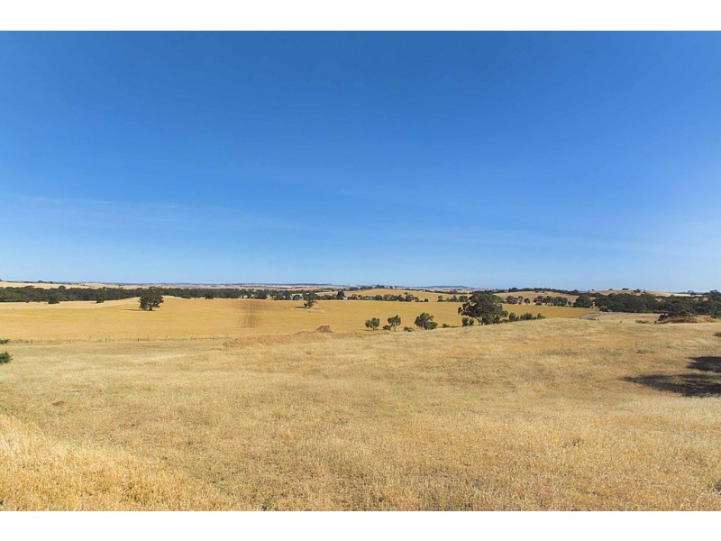 Lot 8 Mount Allen Road, Kapunda SA 5373