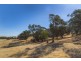 Lot 8 Mount Allen Road, Kapunda SA 5373