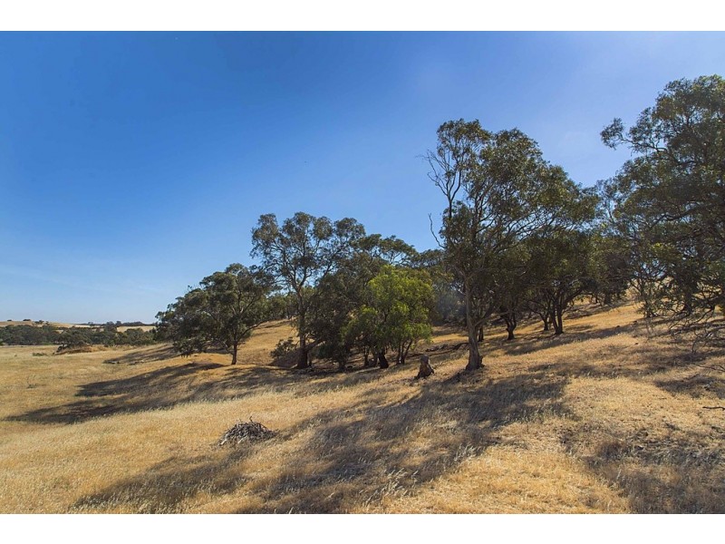 Lot 8 Mount Allen Road, Kapunda SA 5373