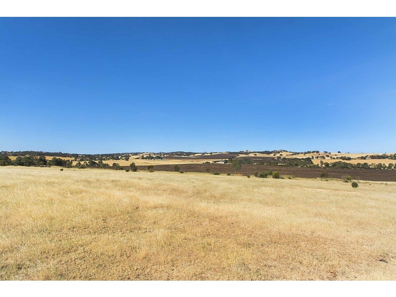 Lot 8 Mount Allen Road, Kapunda SA 5373