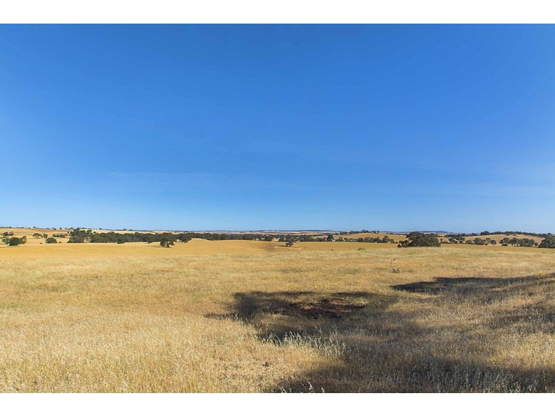 Lot 8 Mount Allen Road, Kapunda SA 5373