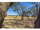 Lot 8 Mount Allen Road, Kapunda SA 5373