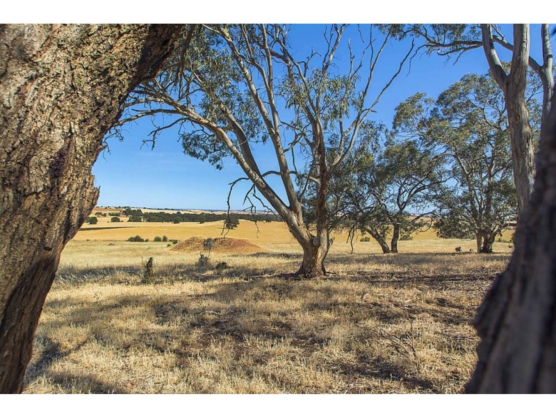Lot 8 Mount Allen Road, Kapunda SA 5373