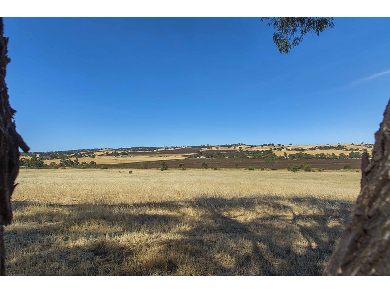 Lot 8 Mount Allen Road, Kapunda SA 5373