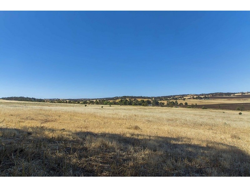Lot 8 Mount Allen Road, Kapunda SA 5373