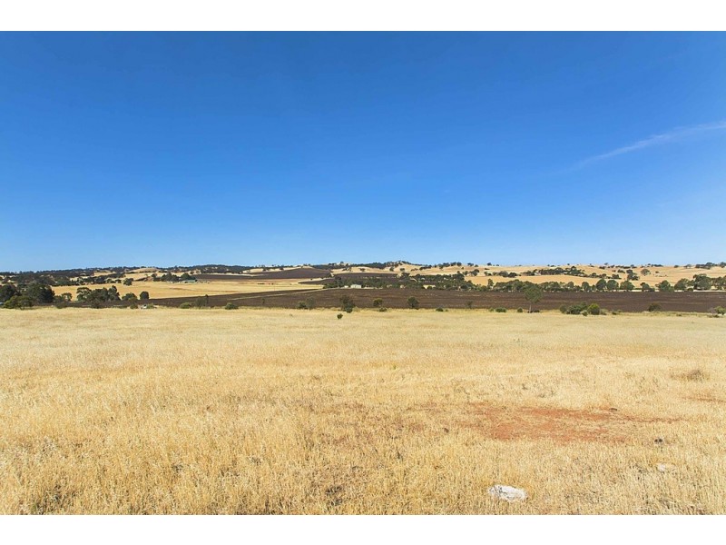 Lot 8 Mount Allen Road, Kapunda SA 5373