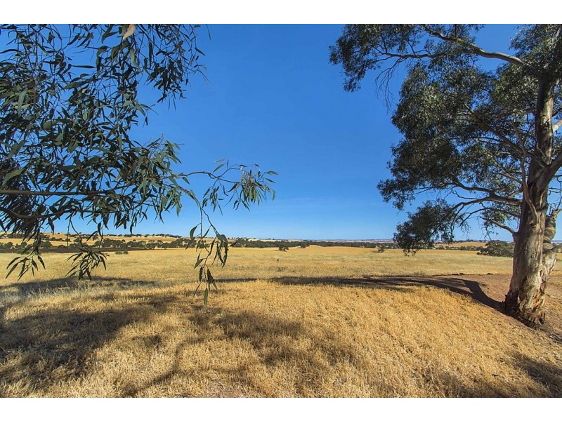 Lot 8 Mount Allen Road, Kapunda SA 5373