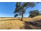 Lot 8 Mount Allen Road, Kapunda SA 5373