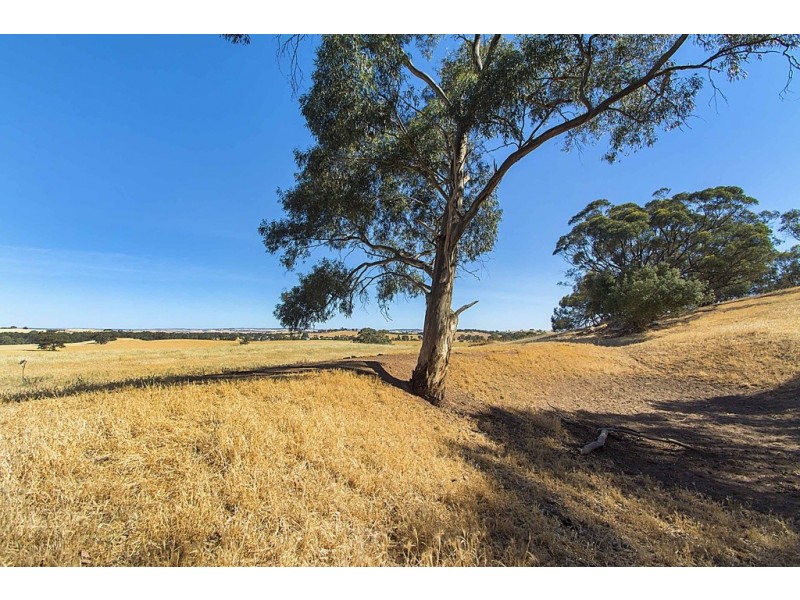 Lot 8 Mount Allen Road, Kapunda SA 5373