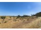 Lot 8 Mount Allen Road, Kapunda SA 5373