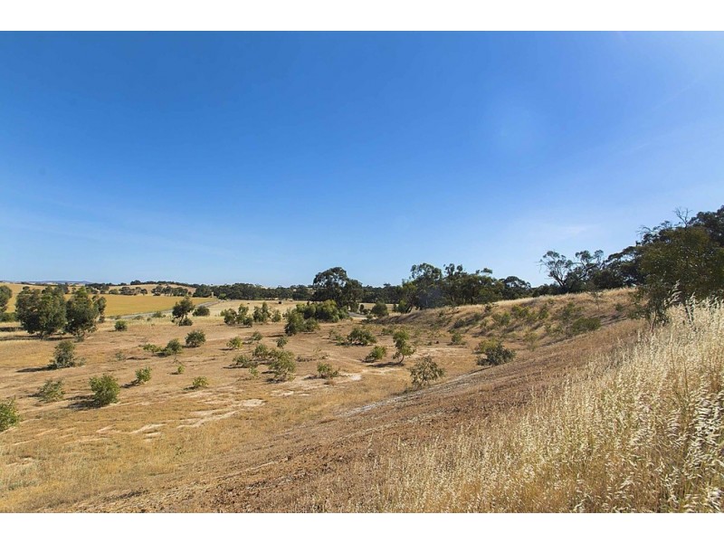 Lot 8 Mount Allen Road, Kapunda SA 5373