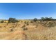Lot 8 Mount Allen Road, Kapunda SA 5373