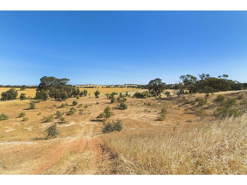 Lot 8 Mount Allen Road, Kapunda SA 5373