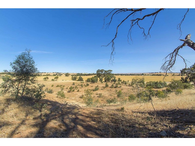 Lot 8 Mount Allen Road, Kapunda SA 5373
