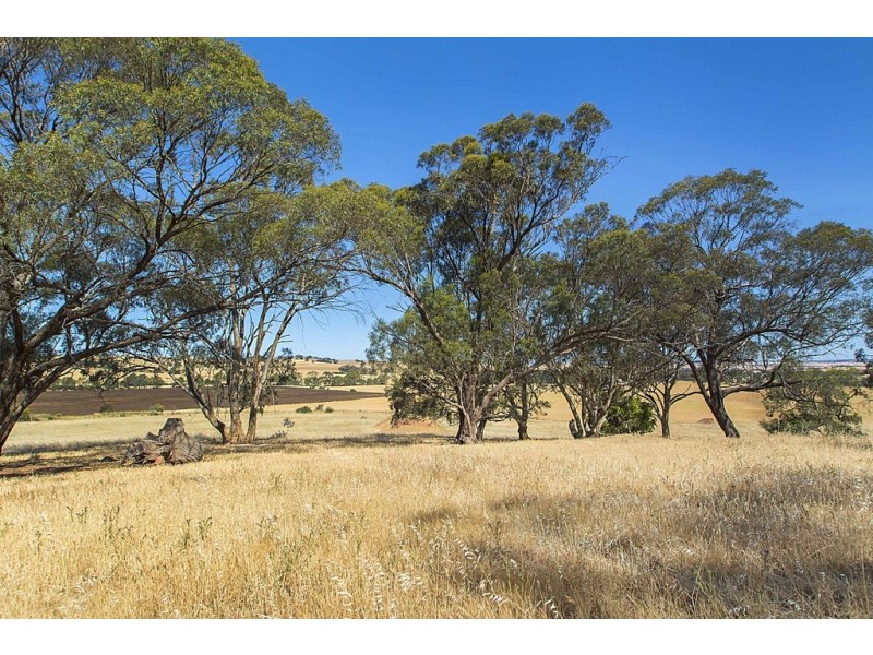 Lot 8 Mount Allen Road, Kapunda SA 5373
