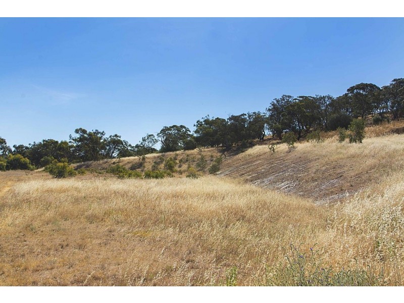 Lot 8 Mount Allen Road, Kapunda SA 5373