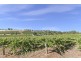 Lot 101 Springfarm Road, Clare SA 5453