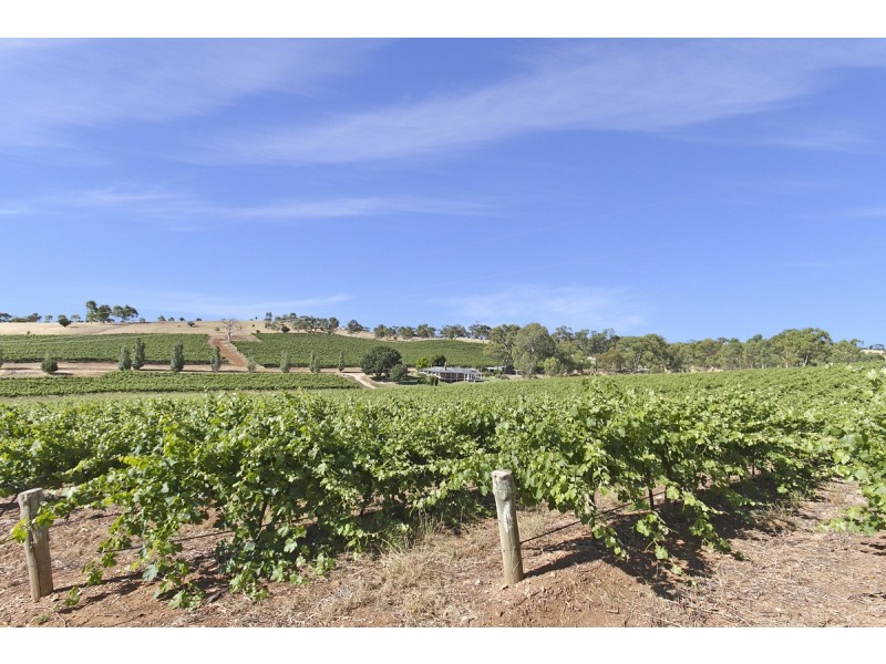 Lot 101 Springfarm Road, Clare SA 5453