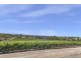 Lot 101 Springfarm Road, Clare SA 5453