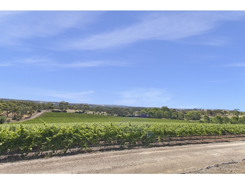 Lot 101 Springfarm Road, Clare SA 5453
