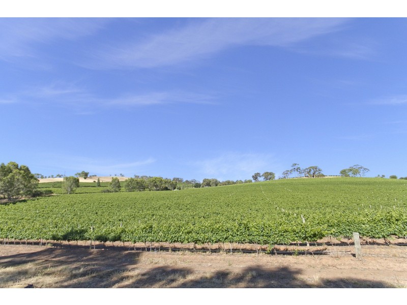 Lot 101 Springfarm Road, Clare SA 5453