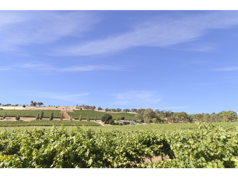 Lot 101 Springfarm Road, Clare SA 5453