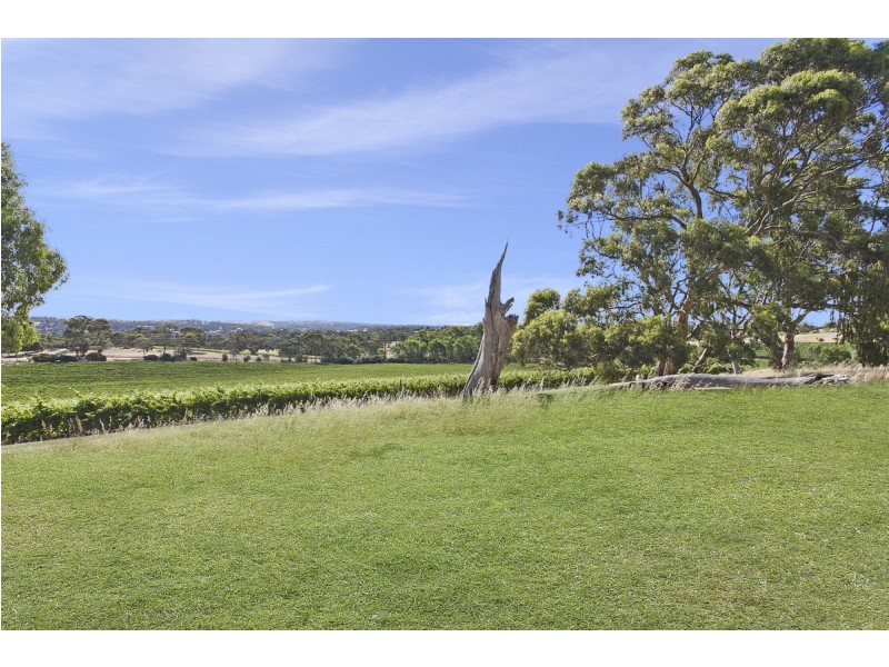 Lot 101 Springfarm Road, Clare SA 5453