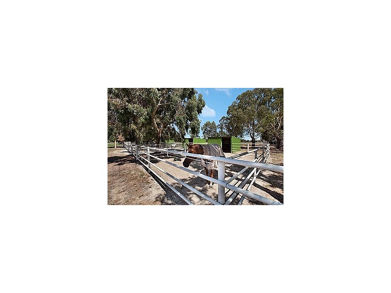 53 Badman Street, Hillier SA 5116