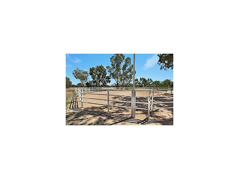 53 Badman Street, Hillier SA 5116