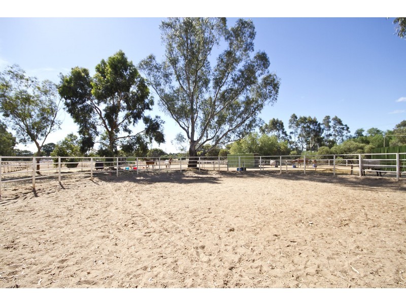 53 Badman Street, Hillier SA 5116