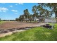 53 Badman Street, Hillier SA 5116