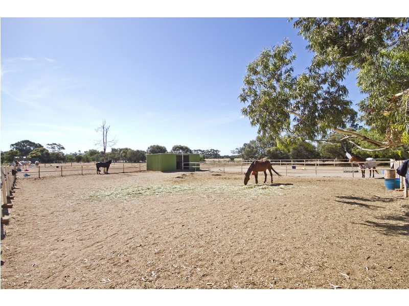 53 Badman Street, Hillier SA 5116