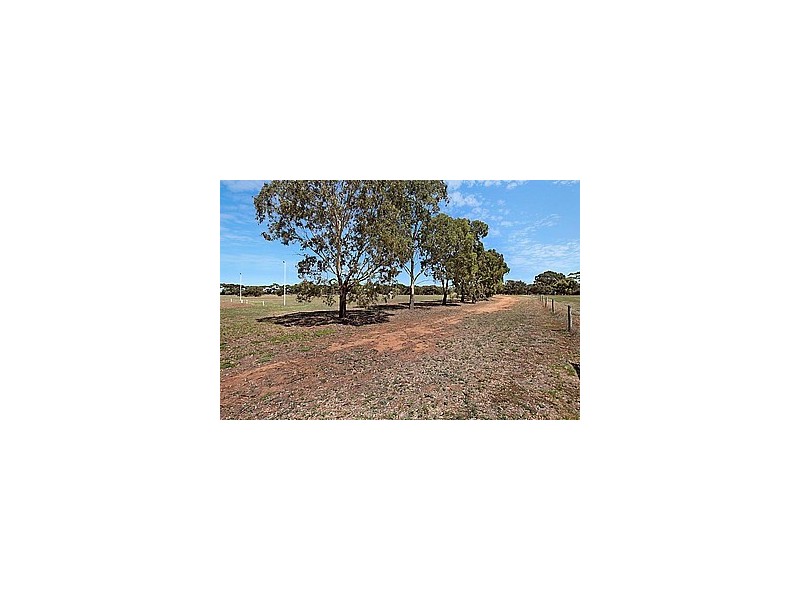 53 Badman Street, Hillier SA 5116