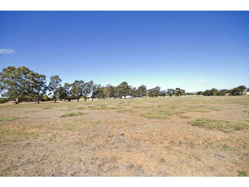 53 Badman Street, Hillier SA 5116