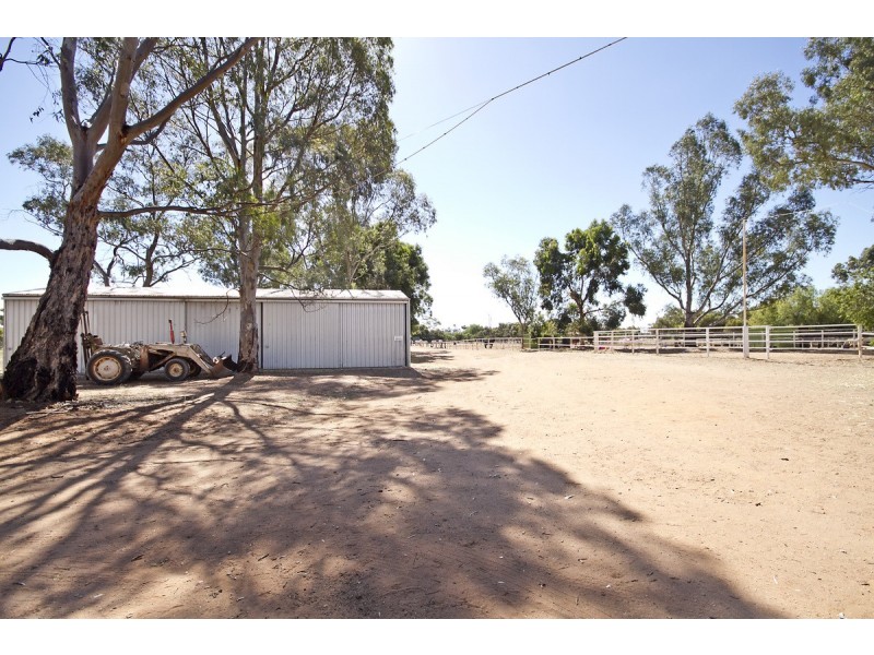 53 Badman Street, Hillier SA 5116