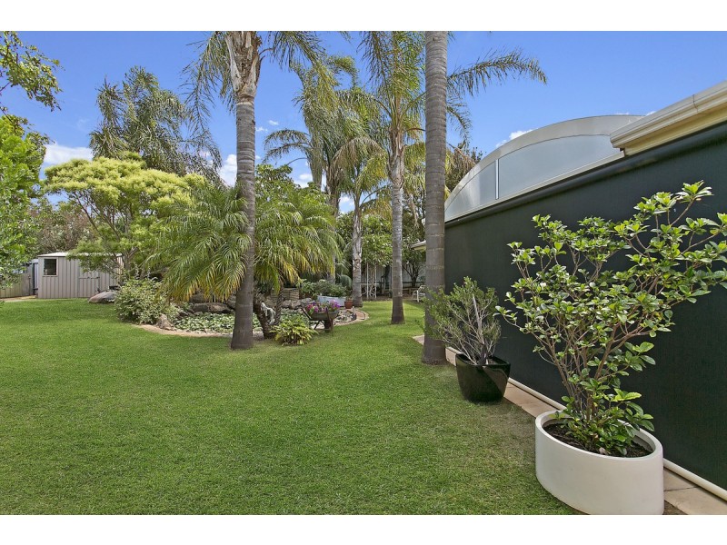 100 Main North Road, Willaston SA 5118