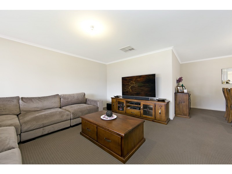 13 Daly Avenue, Freeling SA 5372