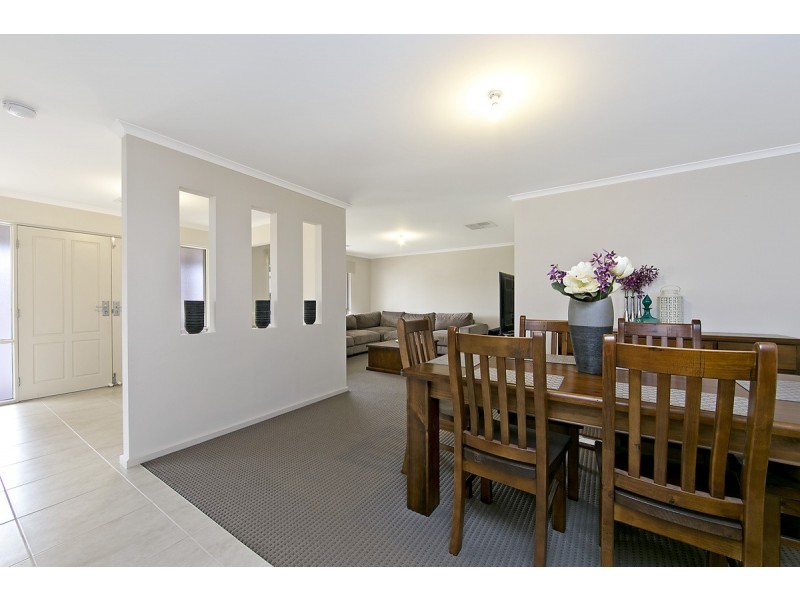 13 Daly Avenue, Freeling SA 5372