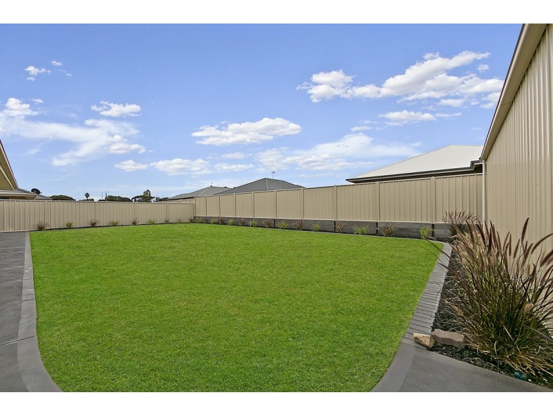 13 Daly Avenue, Freeling SA 5372