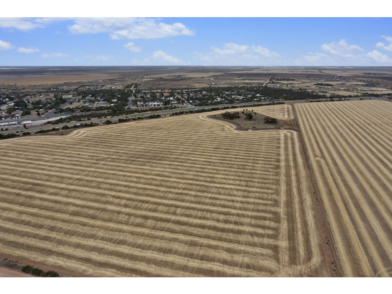 Lot 20 Avon Road, Dublin SA 5501